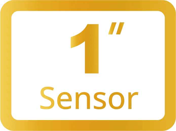 1″ Sensor