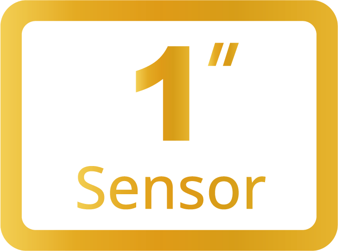 1″ Sensor
